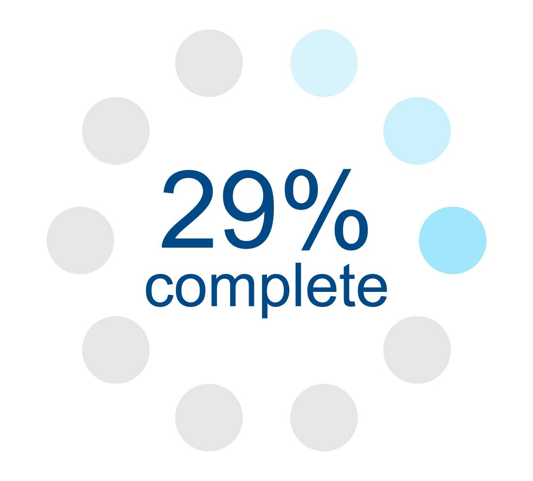 workday 29 percent complete for January 2024 go-live